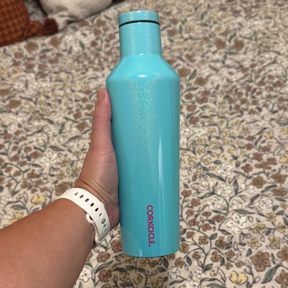 Corkcicle Aqua Insulated Bottle
